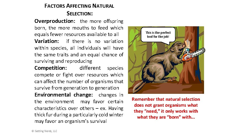 FACTORS AFFECTING NATURAL SELECTION: Overproduction: the more offspring born, the more mouths to feed