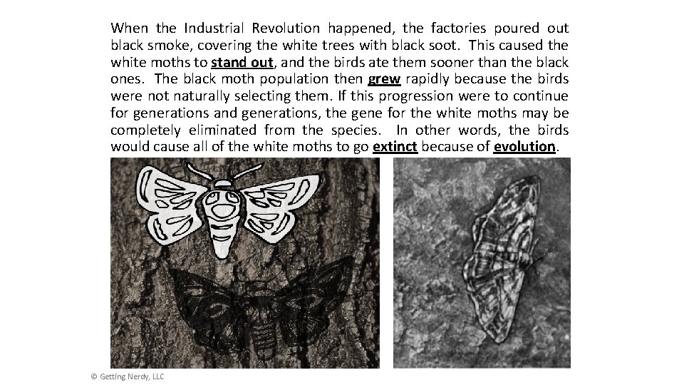 When the Industrial Revolution happened, the factories poured out black smoke, covering the white