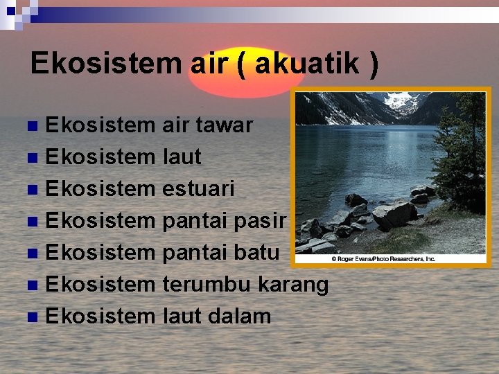Ekosistem air ( akuatik ) Ekosistem air tawar n Ekosistem laut n Ekosistem estuari