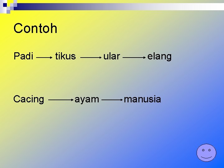 Contoh Padi Cacing tikus ayam ular elang manusia 