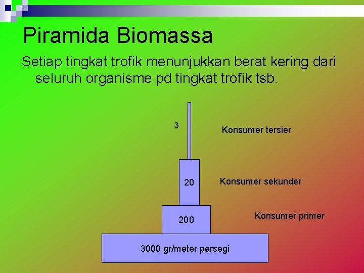 Piramida Biomassa Setiap tingkat trofik menunjukkan berat kering dari seluruh organisme pd tingkat trofik