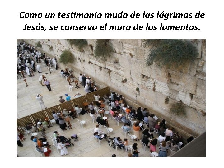 Como un testimonio mudo de las lágrimas de Jesús, se conserva el muro de