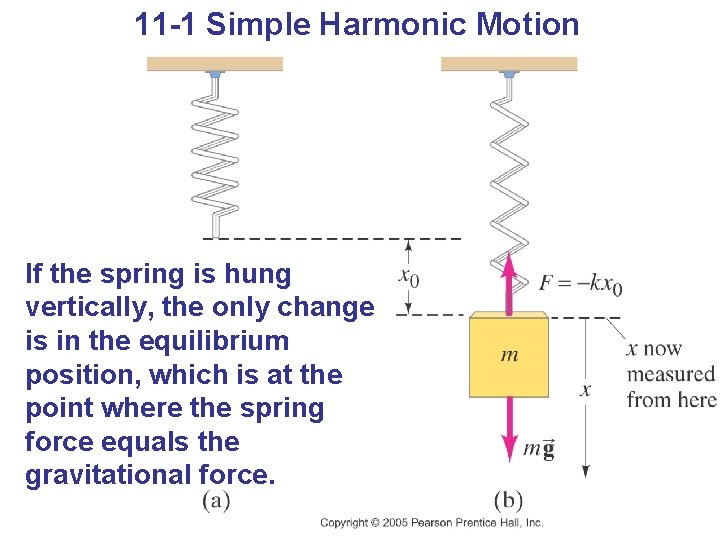 11 -1 Simple Harmonic Motion If the spring is hung vertically, the only change