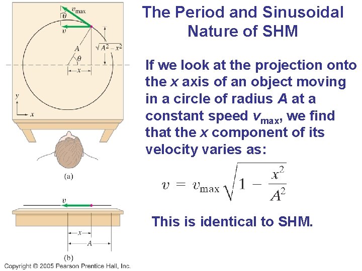 The Period and Sinusoidal Nature of SHM If we look at the projection onto