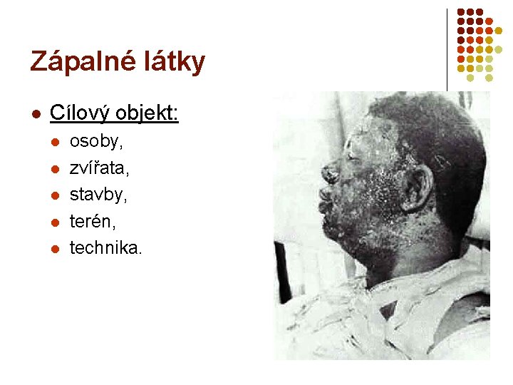 Zápalné látky l Cílový objekt: l l l osoby, zvířata, stavby, terén, technika. 