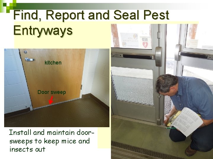 Find, Report and Seal Pest Entryways kitchen Door sweep Install and maintain doorsweeps to