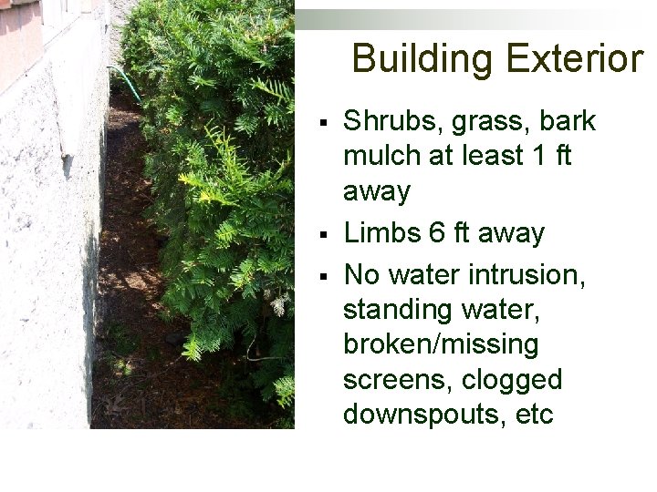 Building Exterior § § § Shrubs, grass, bark mulch at least 1 ft away