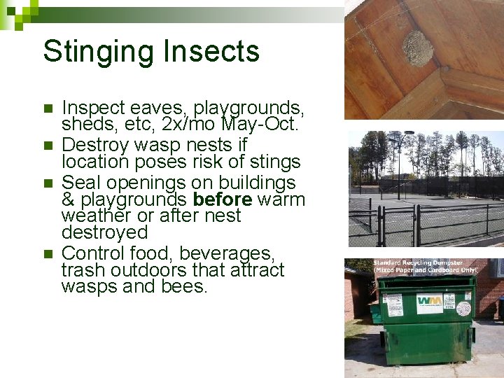 Stinging Insects n n Inspect eaves, playgrounds, sheds, etc, 2 x/mo May-Oct. Destroy wasp