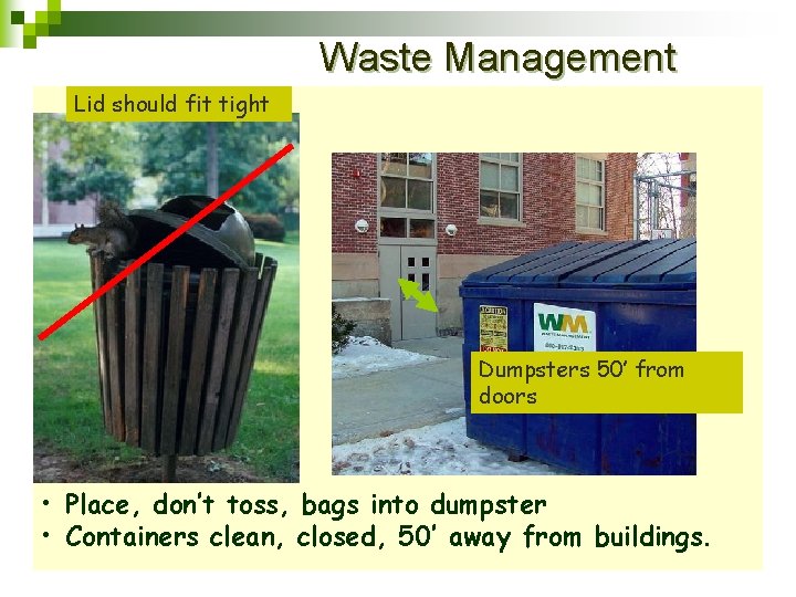 Waste Management Lid should fit tight Dumpsters 50’ from doors • Place, don’t toss,