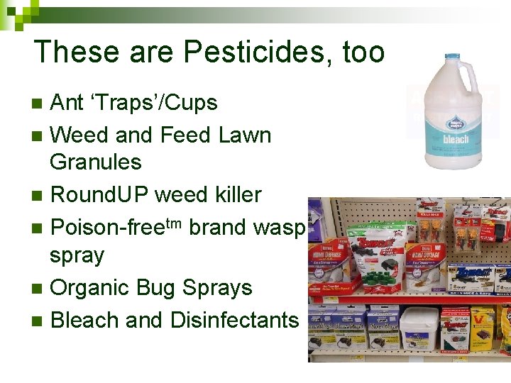 These are Pesticides, too Ant ‘Traps’/Cups n Weed and Feed Lawn Granules n Round.