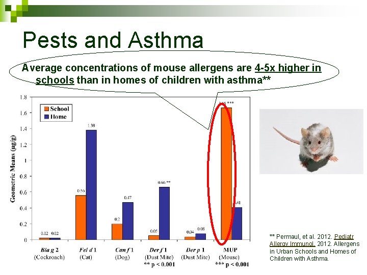 Pests and Asthma Average concentrations of mouse allergens are 4 -5 x higher in