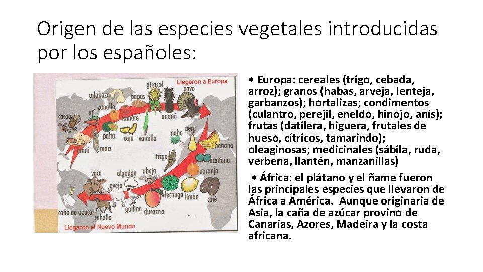 Origen de las especies vegetales introducidas por los españoles: • Europa: cereales (trigo, cebada,