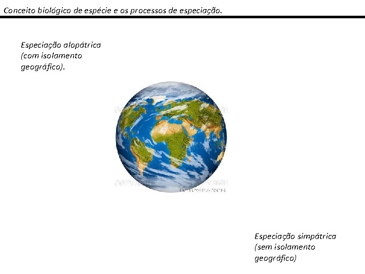 Introduo Taxonomia e Sistemtica Vegetal Conceito biolgico de
