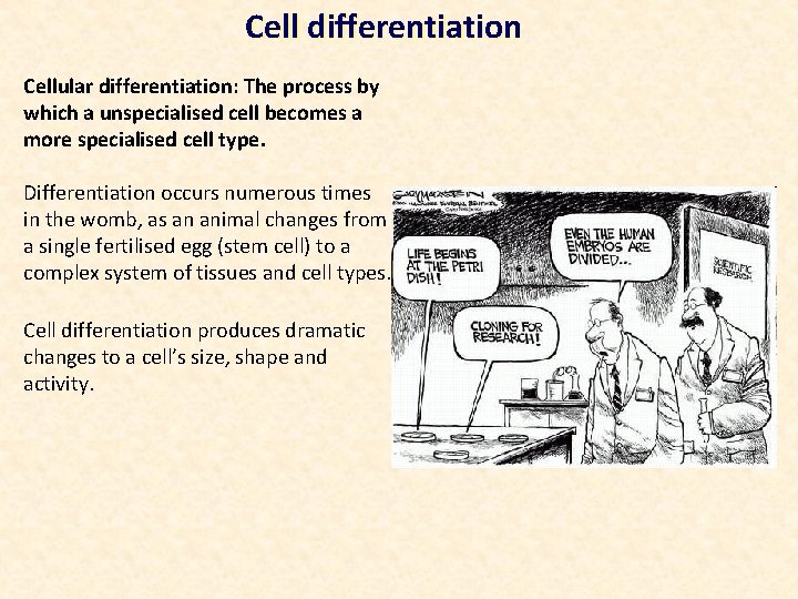 Cell differentiation Cellular differentiation: The process by which a unspecialised cell becomes a more