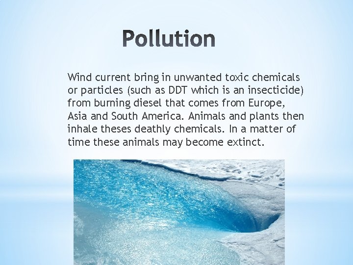 Wind current bring in unwanted toxic chemicals or particles (such as DDT which is