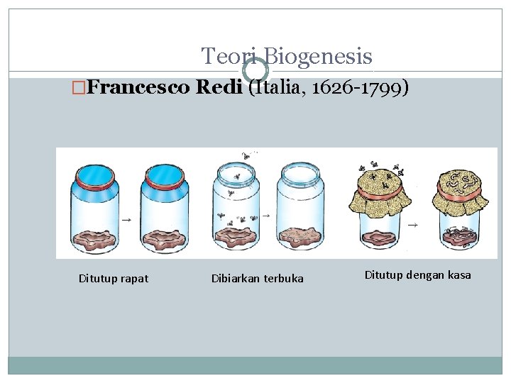 Teori Biogenesis �Francesco Redi (Italia, 1626 -1799) Ditutup rapat Dibiarkan terbuka Ditutup dengan kasa