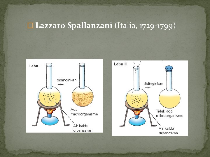 � Lazzaro Spallanzani (Italia, 1729 -1799) 