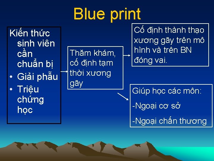 Blue print Kiến thức sinh viên cần chuẩn bị • Giải phẫu • Triệu