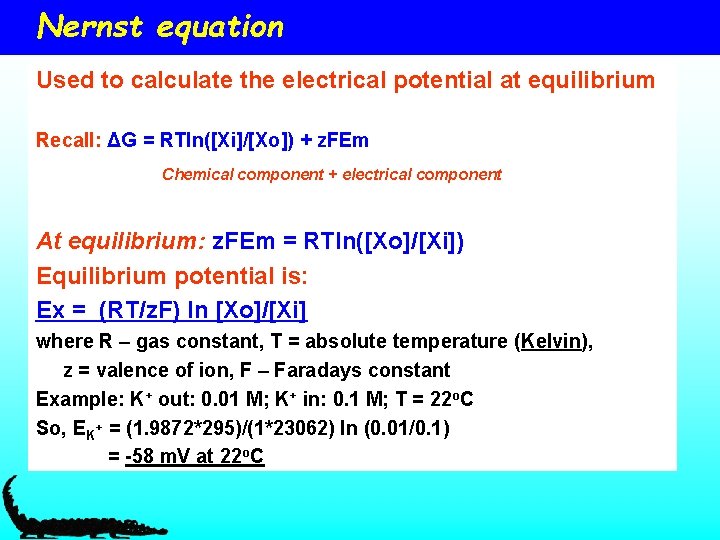 Nernst equation Used to calculate the electrical potential at equilibrium Recall: ΔG = RTln([Xi]/[Xo])