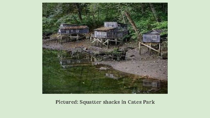 Pictured: Squatter shacks in Cates Park 