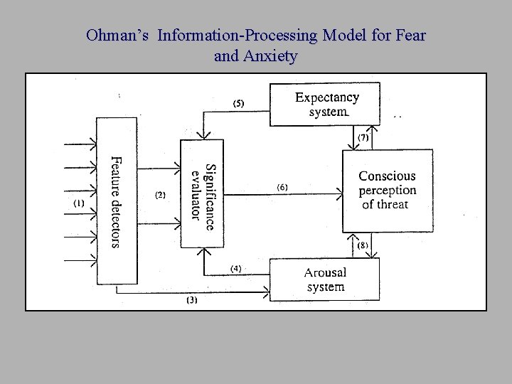 Ohman’s Information-Processing Model for Fear and Anxiety 