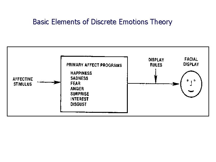 Basic Elements of Discrete Emotions Theory 