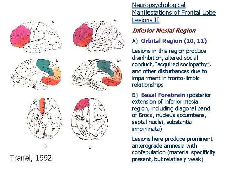 Neuropsychological Manifestations of Frontal Lobe Lesions II Inferior Mesial Region A) Orbital Region (10,