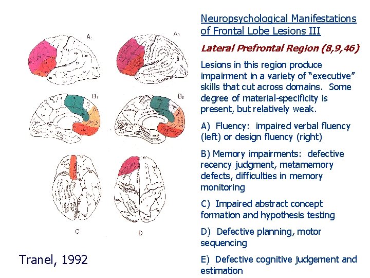 Neuropsychological Manifestations of Frontal Lobe Lesions III Lateral Prefrontal Region (8, 9, 46) Lesions