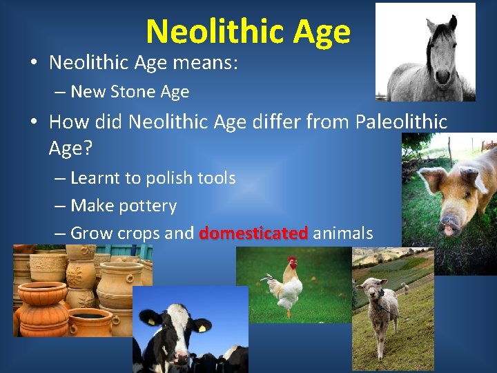 Neolithic Age • Neolithic Age means: – New Stone Age • How did Neolithic