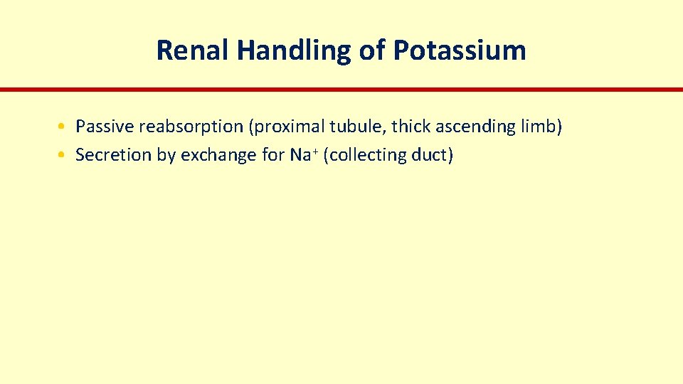 Renal Handling of Potassium • Passive reabsorption (proximal tubule, thick ascending limb) • Secretion