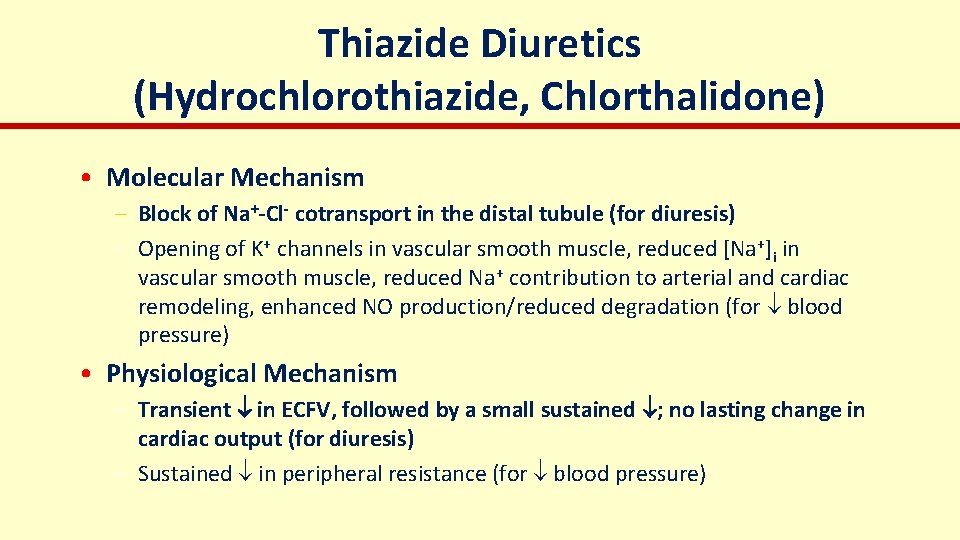 Thiazide Diuretics (Hydrochlorothiazide, Chlorthalidone) • Molecular Mechanism – Block of Na+-Cl- cotransport in the