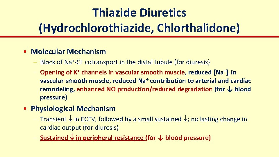 Thiazide Diuretics (Hydrochlorothiazide, Chlorthalidone) • Molecular Mechanism – Block of Na+-Cl- cotransport in the