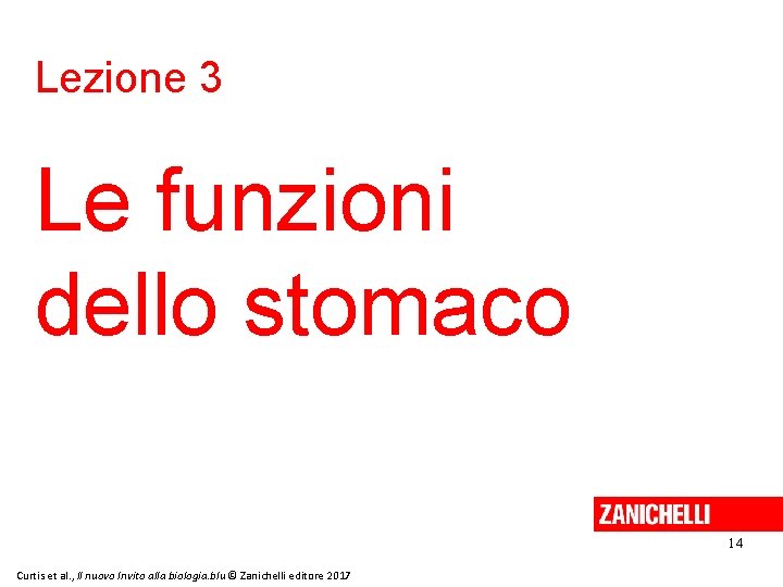 Lezione 3 Le funzioni dello stomaco 14 Curtis et al. , Il nuovo Invito
