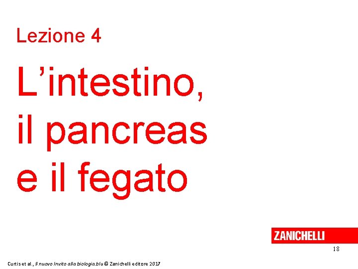 Lezione 4 L’intestino, il pancreas e il fegato 18 Curtis et al. , Il
