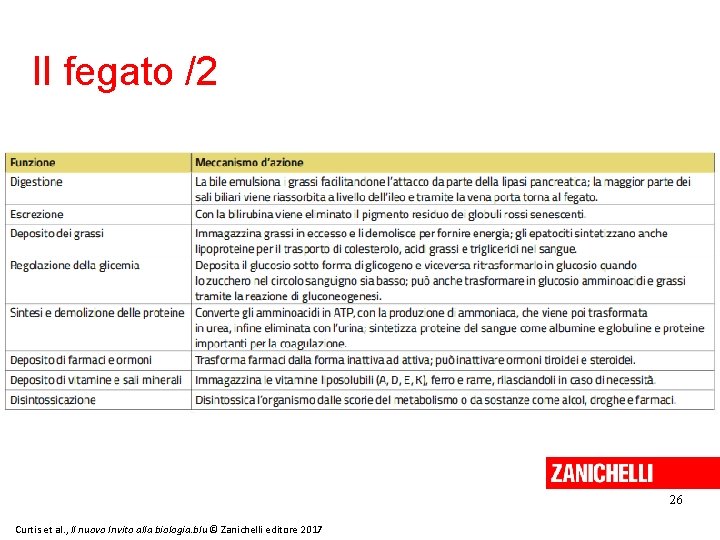 Il fegato /2 26 Curtis et al. , Il nuovo Invito alla biologia. blu