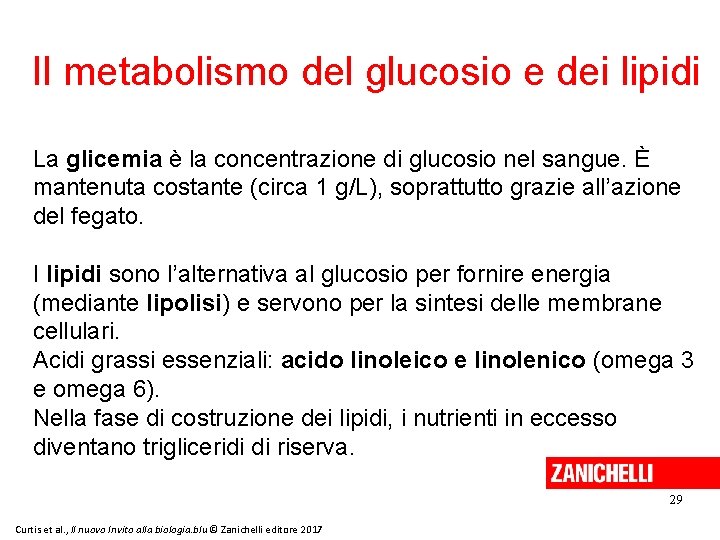 Il metabolismo del glucosio e dei lipidi La glicemia è la concentrazione di glucosio