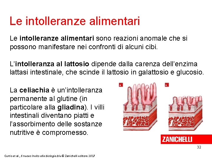 Le intolleranze alimentari sono reazioni anomale che si possono manifestare nei confronti di alcuni