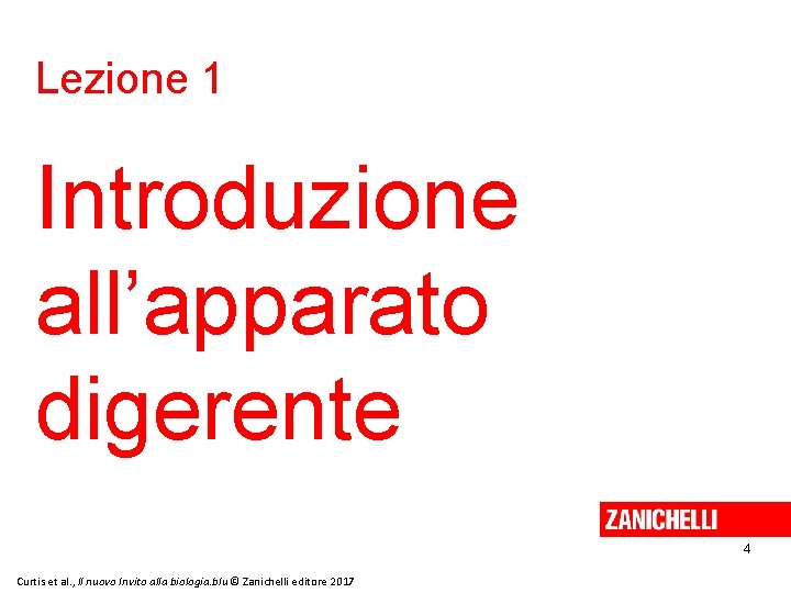 Lezione 1 Introduzione all’apparato digerente 4 Curtis et al. , Il nuovo Invito alla