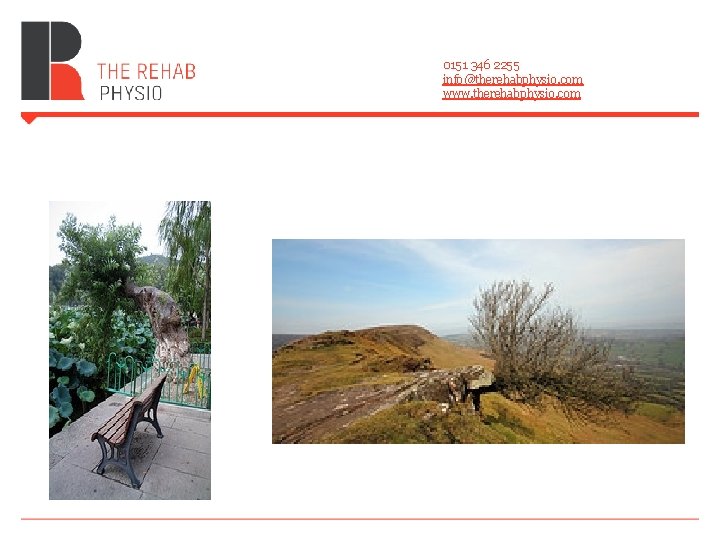 0151 346 2255 info@therehabphysio. com www. therehabphysio. com 0151 346 2255 info@therehabphysio. com www. therehabphysio. com