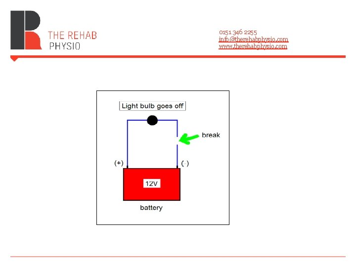 0151 346 2255 info@therehabphysio. com www. therehabphysio. com 0151 346 2255 info@therehabphysio. com www. therehabphysio. com
