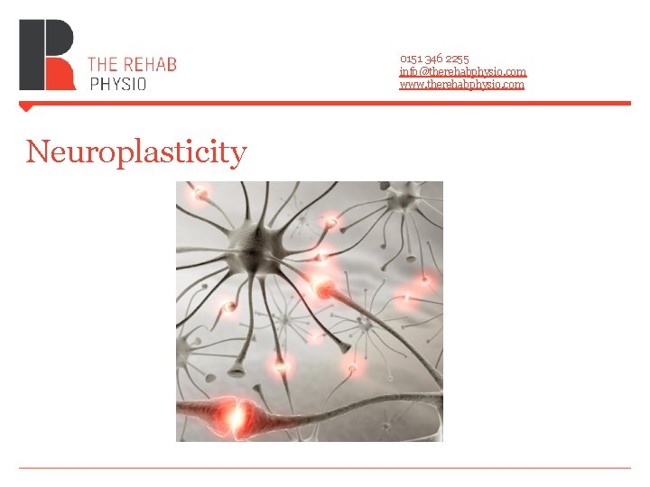 0151 346 2255 info@therehabphysio. com www. therehabphysio. com Neuroplasticity 0151 346 2255 info@therehabphysio. com www. therehabphysio. com Neuroplasticity