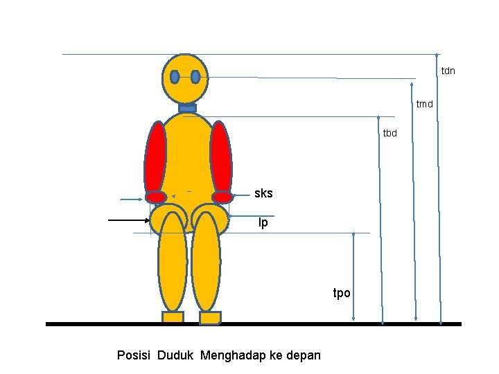tdn tmd tbd sks lp tpo Posisi Duduk Menghadap ke depan 