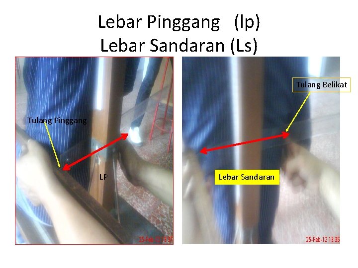 Lebar Pinggang (lp) Lebar Sandaran (Ls) Tulang Belikat Tulang Pinggang LP Lebar Sandaran 