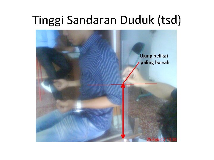 Tinggi Sandaran Duduk (tsd) Ujung belikat paling bawah 