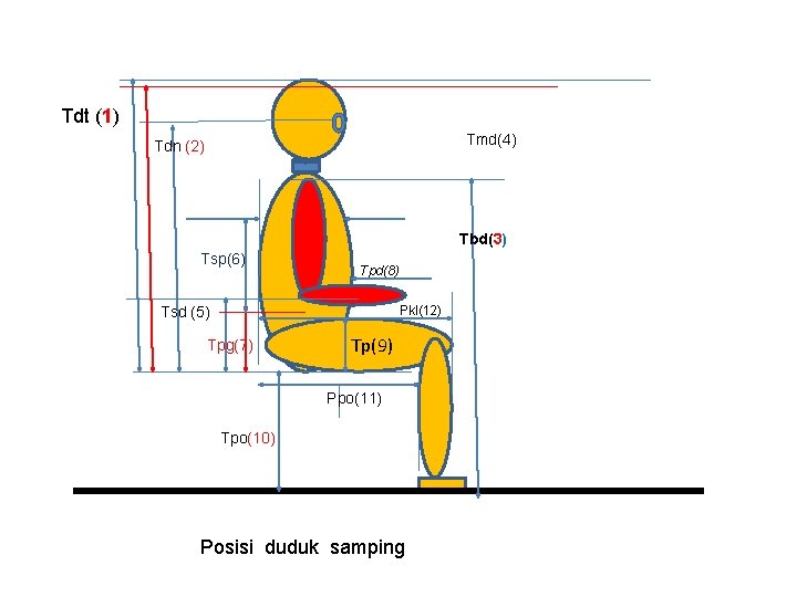 Tdt (1) Tmd(4) Tdn (2) Tbd(3) Tsp(6) Tpd(8) Pkl(12) Tsd (5) Tpg(7) Tp(9) Ppo(11)
