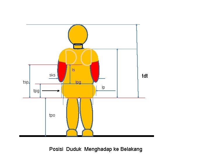 ls sks tsp tdt lpg lp tpg tpo Posisi Duduk Menghadap ke Belakang 