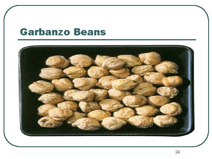 Garbanzo Beans 24 