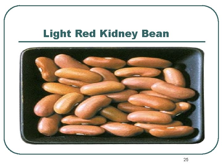 Light Red Kidney Bean 25 