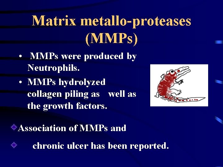 Matrix metallo-proteases (MMPs) • MMPs were produced by Neutrophils. • MMPs hydrolyzed collagen piling