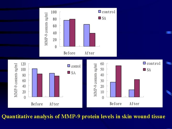 Quantitative analysis of MMP-9 protein levels in skin wound tissue 